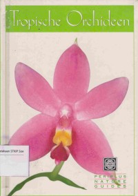 Image of Tropische Orchideen